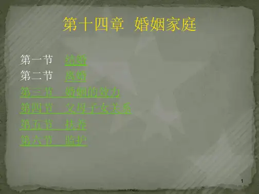 国际私法第14章