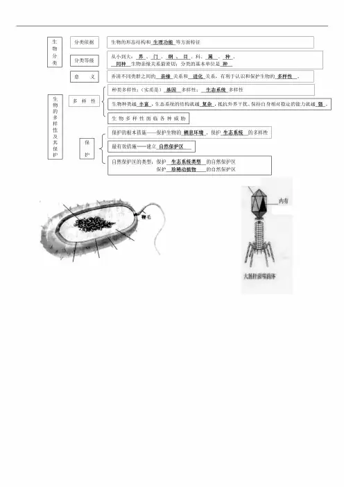 最新人教版八年级生物上册 知识结构图