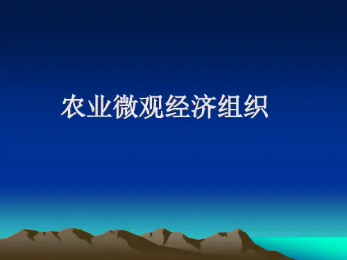 农业微观经济组织概述