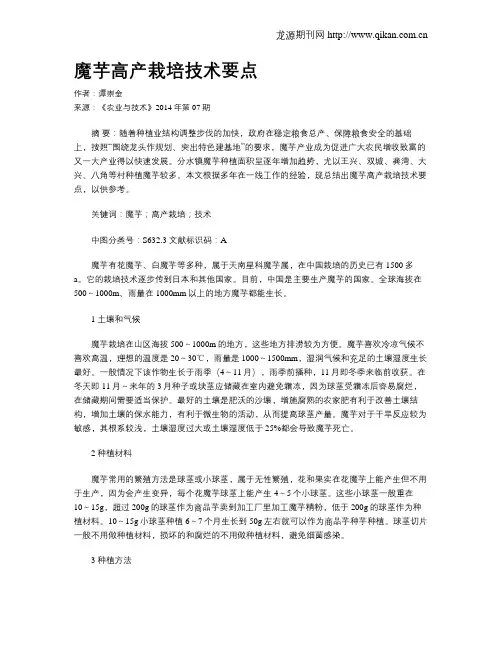 魔芋高产栽培技术要点 2