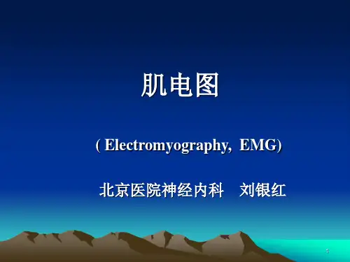 肌电图讲课神经内科PPT课件