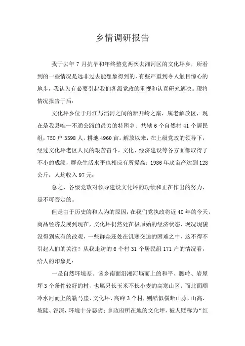乡情调研报告