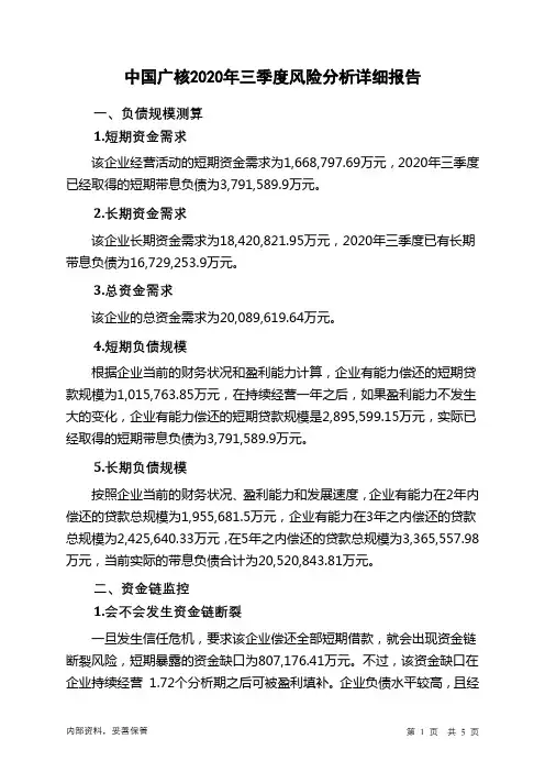 中国广核2020年三季度财务风险分析详细报告