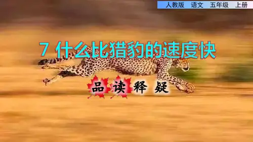 统编版小学语文五年级上册第二单元《7.什么比猎豹的速度更快》品读释疑课件PPT