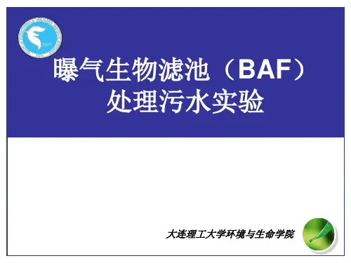 曝气生物滤池处理污水实验