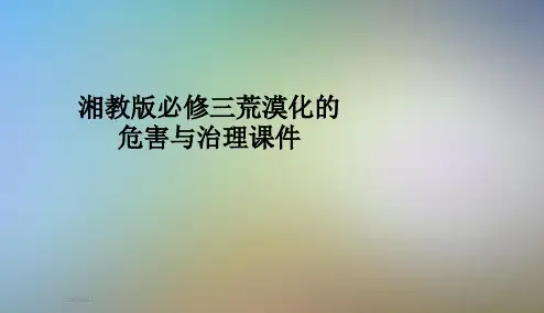 湘教版必修三荒漠化的危害与治理课件