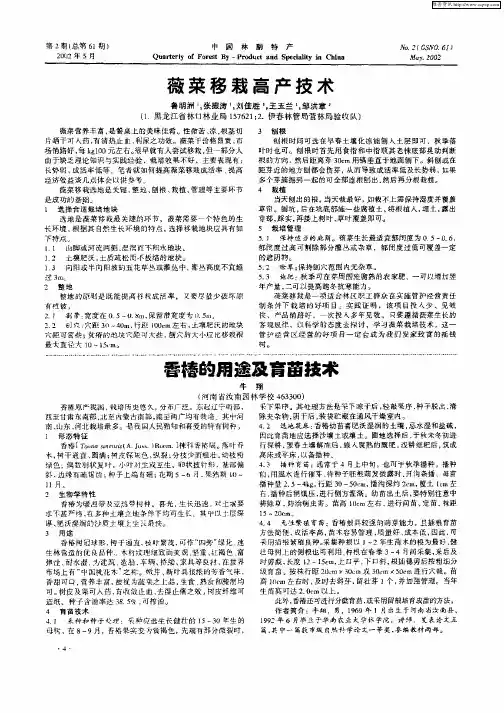 薇菜移栽高产技术