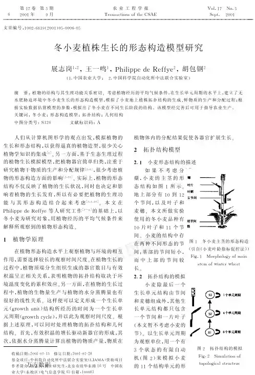 冬小麦植株生长的形态构造模型研究