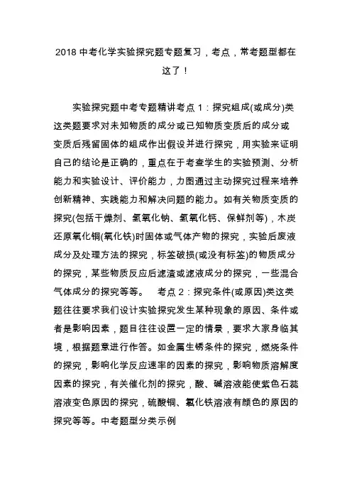 2018中考化学实验探究题专题复习考点常考题型都在这了