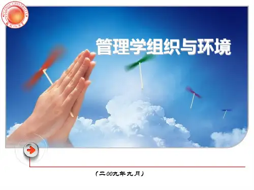 管理学组织与环境概述(PPT 36张)
