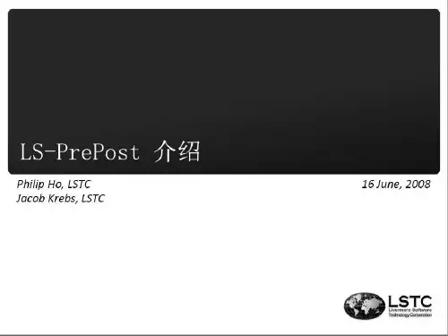 LS-PrePost教程 (CHN)
