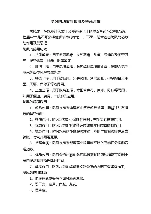 防风的功效与作用及禁忌详解