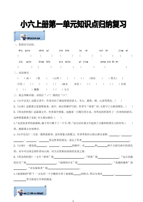 人教版六年级上册第一单元知识点归纳复习