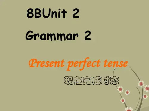 江苏省连云港市田家炳中学八年级英语上册《Unit2 School life grammar》课件2
