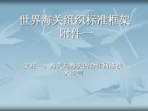 世界海关组织标准框架(附件一)