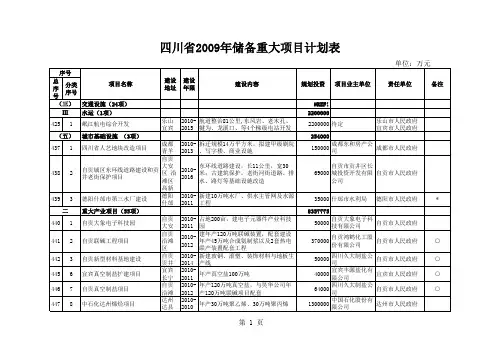 重大项目