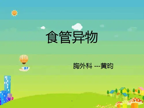 食管异物PPT课件