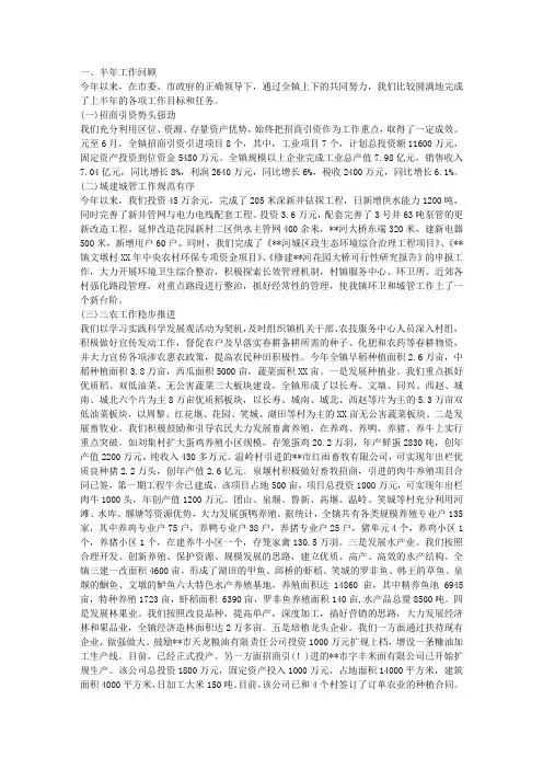 乡镇综治工作总结