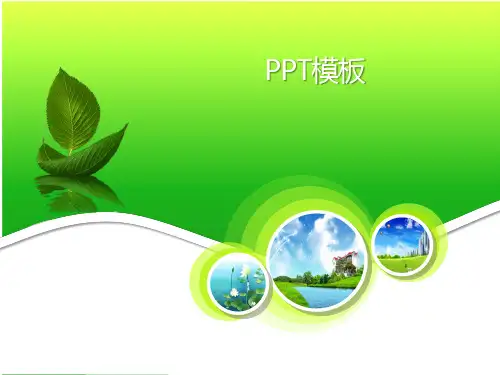 绿色清新PPT模板