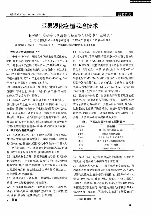 苹果矮化密植栽培技术