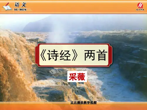 《诗经》两首《采薇》PPT课件