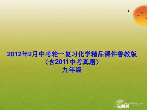 中考化学考点总复习课件15