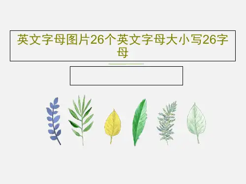 英文字母图片26个英文字母大小写26字母109页PPT