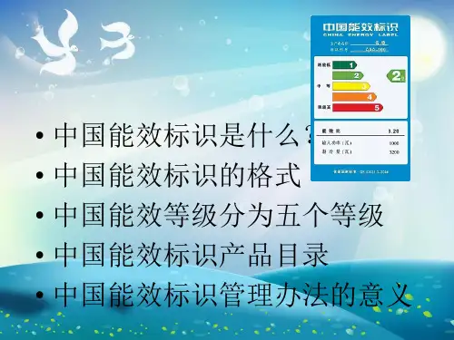 中国能效标识课件课件
