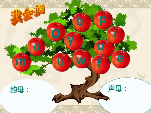 4拼音dtnl完整版PPT课件