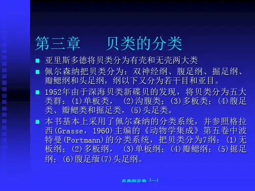 贝类的分类