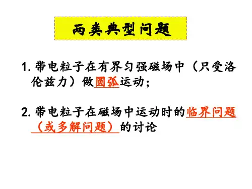 专题:带电粒子在有界磁场中的运动(公开课)