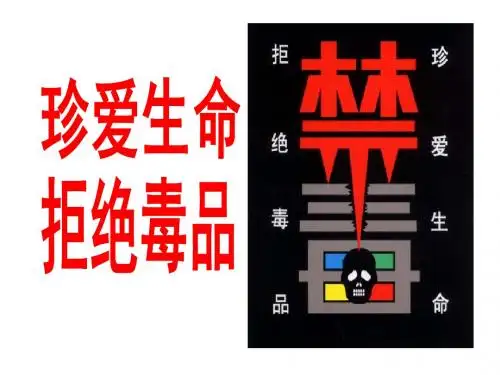珍爱生命 拒绝毒品 (106主题班会)