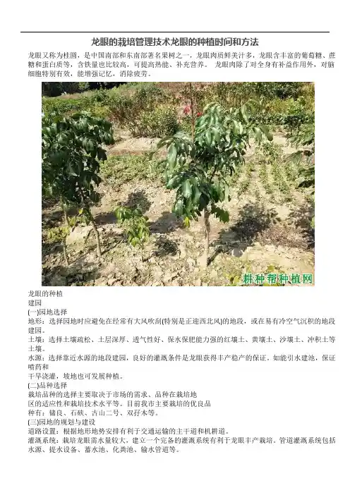 龙眼的栽培管理技术龙眼的种植时间和方法
