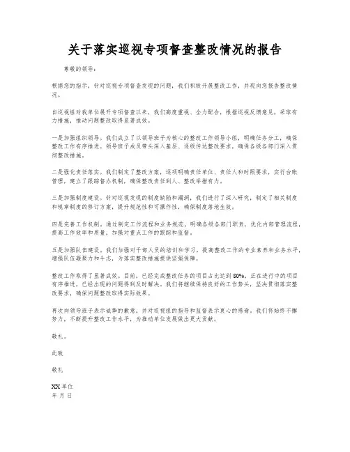 关于落实巡视专项督查整改情况的报告
