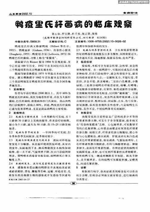 鸭疫里氏杆菌病的临床观察