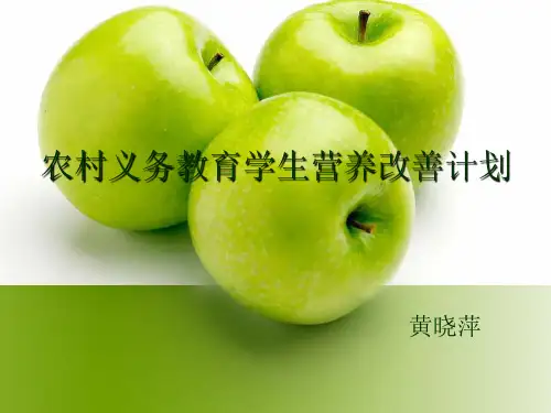营养午餐计划