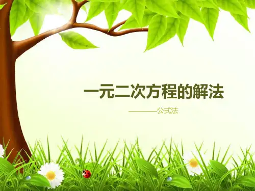 一元二次方程的解法(公式法)