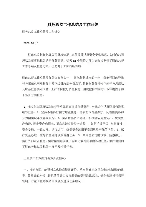 财务总监工作总结及工作计划
