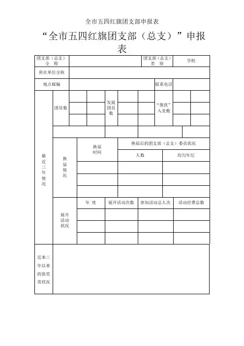 全市五四红旗团支部申报表