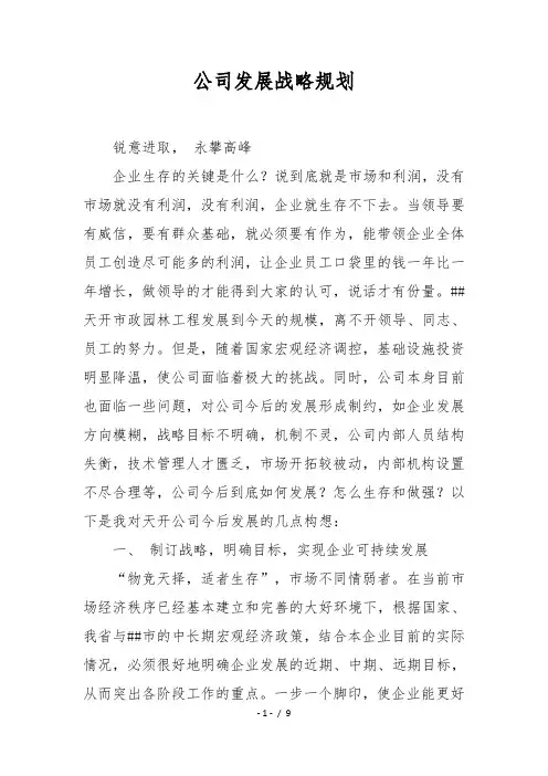 公司发展战略规划 2