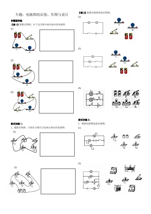 专题：电路图的识别、作图与设计