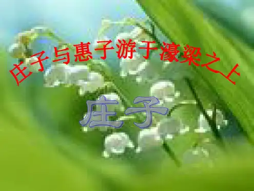 部编人教版八下语文21.《庄子与惠子游于濠梁》ppt课件(共24张PPT)