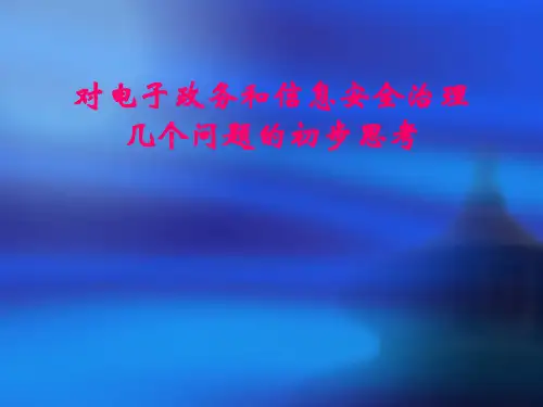 我国电子政务建设的特征.pptx