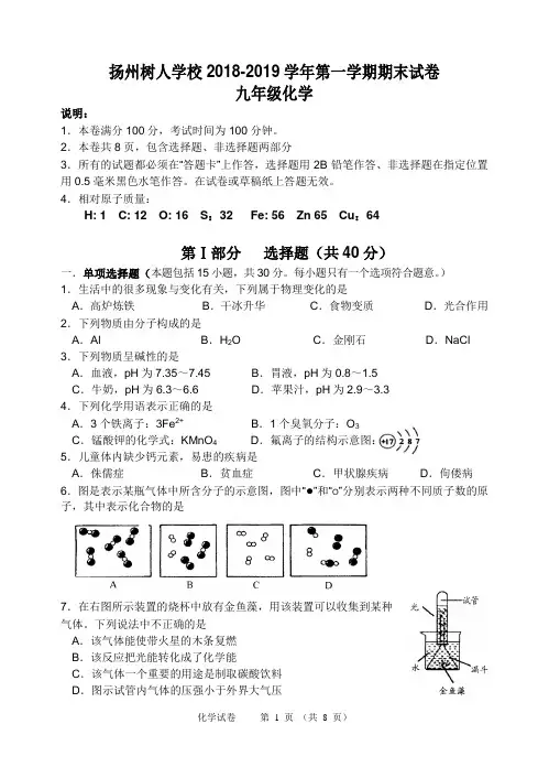 江苏省扬州树人学校2018-2019学年第一学期期末试卷 九年级化学