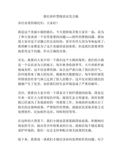镇长秸秆禁烧表态发言稿