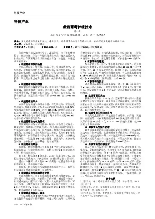 盆栽葡萄种植技术