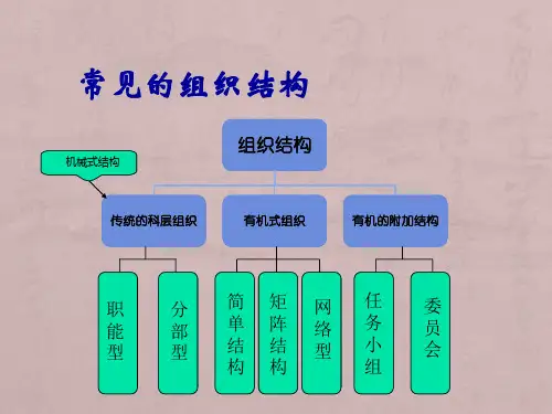 常见的组织结构