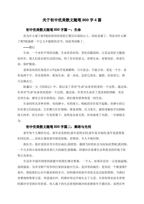 关于初中优美散文随笔800字4篇