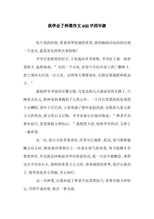 我学会了种菜作文400字四年级