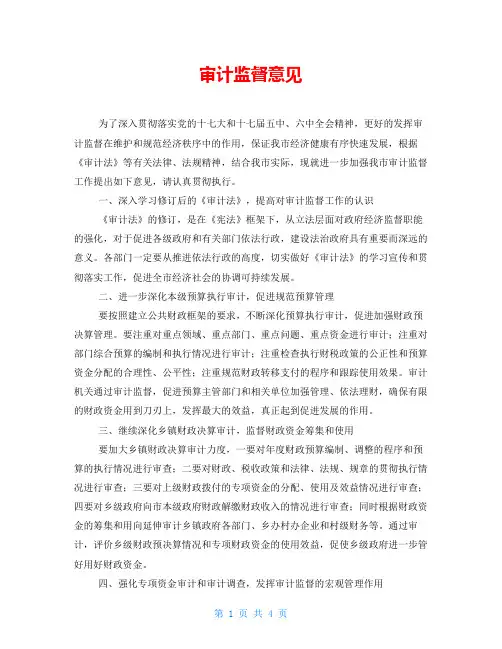 审计监督意见